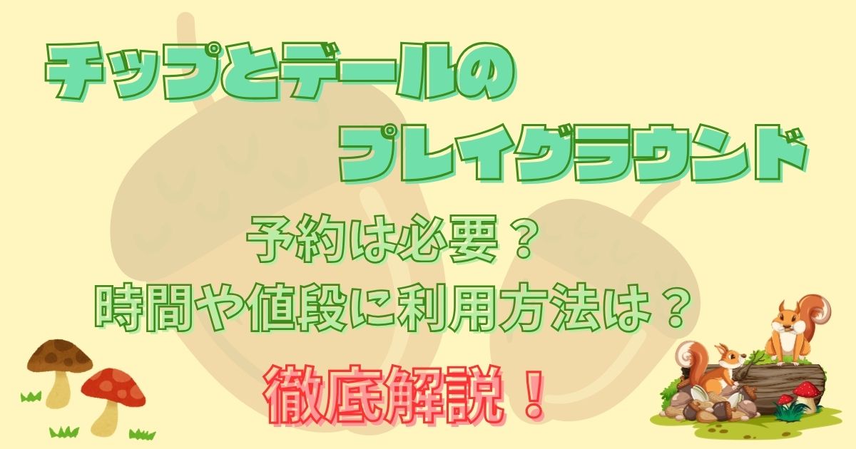 チップとデールのプレイグラウンド料金は？時間やチェックイン前使える？