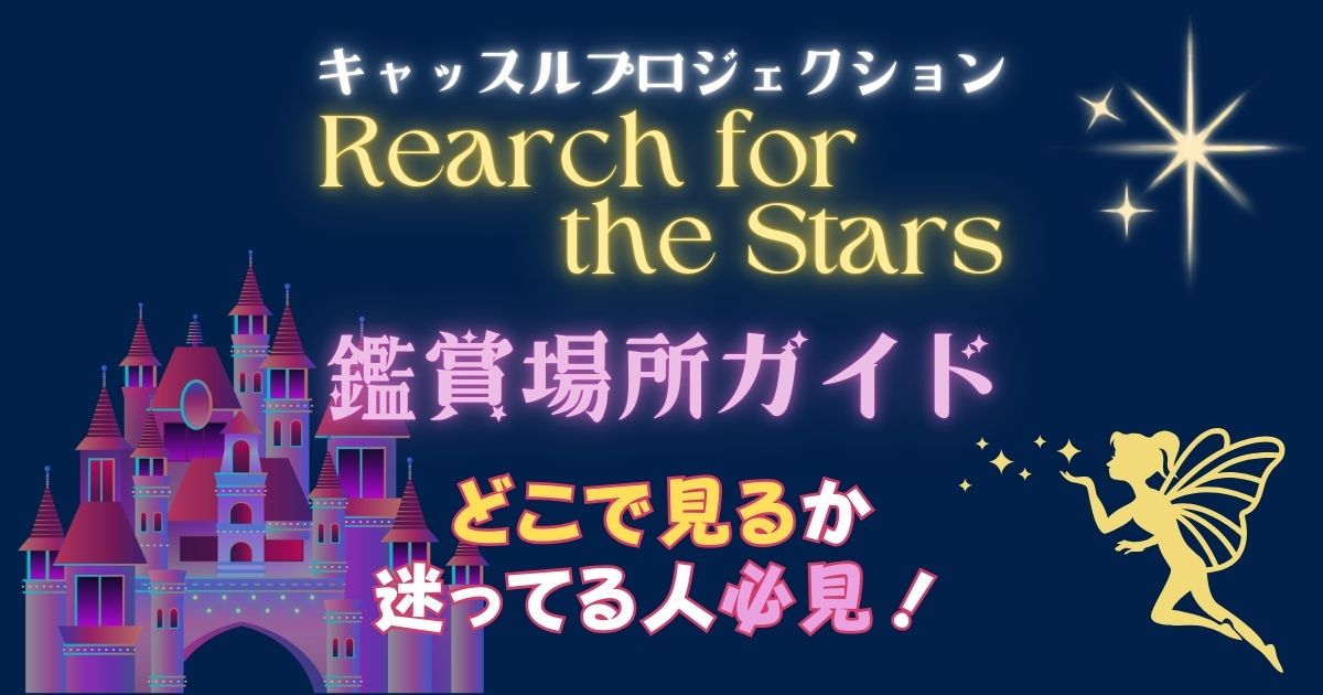 リーチフォーザスターズどこで見る?穴場やDPA買うべきか徹底調査