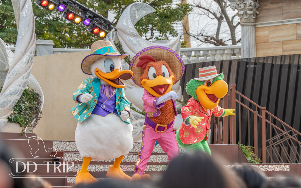 ダンスザグローブ(ドナルド)